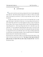 Vận dụng lý luận tăng lợi nhuận để phân tích thực tế về phát triển sản xuất ở công ty Da giầy Hồ Chí Minh pdf