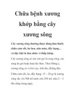 Chữa bệnh xương khớp bằng cây xương sông pptx