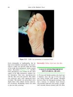 Atlas of the Diabetic Foot - part 4 doc