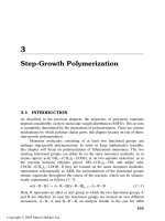 Fundamentals of Polymer Engineering Part 4 docx