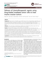 Delivery of chemotherapeutic agents using drug-loaded irradiated tumor cells to treat murine ovarian tumors doc