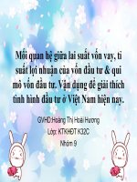 Mối quan hệ giữa lai suất vốn đầu pptx