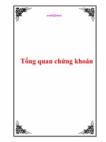 Tổng quan chứng khoán pot