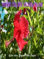 Giáo án điện tử tiểu học môn đạo đức: Thiếu nhi hội chử thập đỏ với công tác giảm nhẹ rủi ro pdf