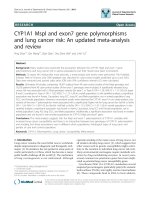 báo cáo khoa học: 