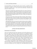 Leadership Processes and Follower Self-Identity phần 3 doc