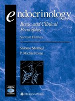 Endocrinology Basic and Clinical Principles - part 1 ppsx