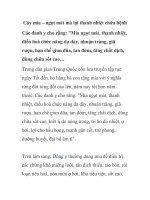 Cây mía – ngọt mát mà lại thanh nhiệt chữa bệnh docx