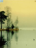 Giáo án điện tử tiểu học môn tiếng anh: How many doc