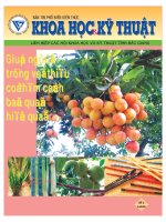 Bản tin phổ biến kiến thức khoa học và kỹ thuật số 2  2010