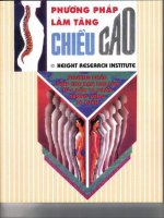 Smith Nguyen Ebooks! docx