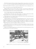 Thiết kế và thi công nền đắp trên đất yếu part 4 ppt