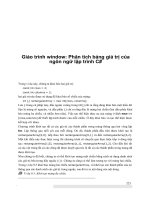 Giáo trình window: Phân tích bảng giá trị của ngôn ngữ lập trình C# phần 1 pptx