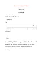 Lý thuyết y khoa: Tên thuốc AMIKACIN INJECTION MEIJI MEIJI SEIKA ppsx