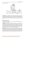 Clinical Tests for the Musculoskeletal System - part 3 docx