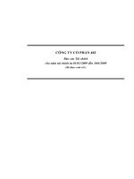 CÔNG TY CỔ PHẦN 482 - BÁO CÁO TÀI CHÍNH 6 THÁNG ĐẦU NĂM 2009 pps