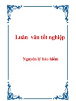 Luân văn: Nguyên lý bảo hiểm pdf