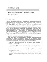 Why Are there So Many Banking Crises? The Politics and Policy of Bank Regulation phần 2 pdf