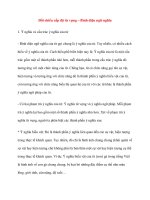 Đối chiếu cấp độ từ vựng – Bình diện ngữ nghĩa docx