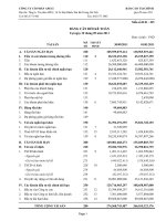 CÔNG TY CỔ PHẦN APECI - BÁO CÁO TÀI CHÍNH - BẢNG CÂN ĐỐI KẾ TOÁN QUÝ 3 NĂM 2011 pps