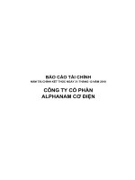 BÁO CÁO TÀI CHÍNH CỦA CÔNG TY CỔ PHẦN ALPHANAM CƠ ĐIỆN doc