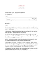 Lý thuyết y khoa: Tên thuốc CATAFLAM NOVARTIS pptx