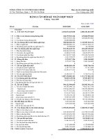 TỔNG CÔNG TY CỔ PHẦN BẢO MINH - BÁO CÁO HỢP NHẤT QUÝ 3 - 2009 pdf