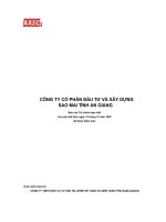 CÔNG TY CỔ PHẦN ĐẦU TƯ VÀ XÂY DỰNG SAO MAI - BÁO CÁO CỦA HỘI ĐỒNG QUẢN TRỊ BÁO CÁO KIỂM TOÁN NĂM 2007 potx