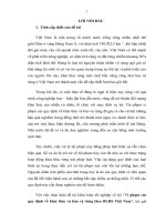 vi phạm các quy định về khai thác và bảo vệ rừng theo BLHS việt nam