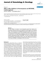 báo cáo khoa học: 