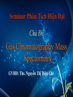 Gas Chromatography Mass Spectrometry doc