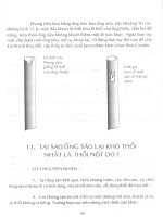 Tự học thổi sáo và ngâm thơ part 4 potx