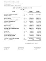 CÔNG TY CỔ PHẦN CHIẾU XẠ AN PHÚ - BÁO CÁO KẾT QUẢ HOẠT ĐỘNG KINH DOANH QUÝ 4 - 2009 pps