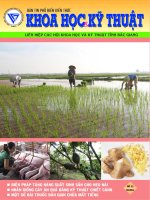 Bản tin phổ biến kiến thức khoa học và kỹ thuật số 11