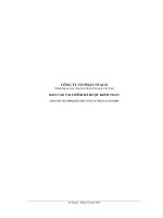 CÔNG TY CỔ PHẦN NTACO - BÁO CÁO TÀI CHÍNH ĐÃ ĐƯỢC KIỂM TOÁN ppsx