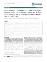 báo cáo khoa học: 