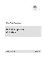 Risk Management Guideline phần 1 potx