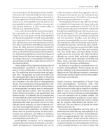 Basics of Blood Management - part 8 ppsx