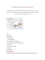 Tổng quan động cơ diesel - phần 2: Hệ thống nhiên liệu ppsx