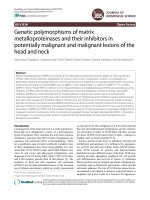 Genetic polymorphisms of matrix metalloproteinases and their inhibitors in potentially malignant and malignant lesions of the head and neck potx