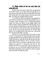 Kỹ thuật gieo trồng và chăm sóc lúa part 6 pot