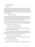 Phương pháp thảo luận - tranh luận doc