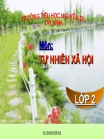 Giáo án điện tử tiểu học: Mở rộng vốn từ về chim muông pptx