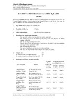 CÔNG TY CỔ PHẦN ALPHANAM - BẢN THUYẾT MINH BÁO CÁO TÀI CHÍNH HỢP NHẤT - QUÝ 4 - 2009 doc