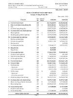 CÔNG TY CỔ PHẦN APECI - BẢNG CÂN ĐỐI KẾ TOÁN HỢP NHẤT QUÝ 1 NĂM 2011 ppt