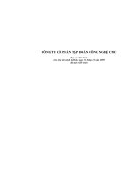 CÔNG TY CỔ PHẦN TẬP ĐOÀN CÔNG NGHỆ CMC - BÁO CÁO TÀI CHÍNH NĂM 2009 ppt