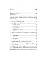 Hoàn thiện hệ thống kiểm soát nội bộ trong quản lý hoạt động tiêu thụ tại công ty cổ phần bitexco nam long