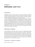 Foseco Ferrous Foundryman''''s Handbook Part 5 ppsx