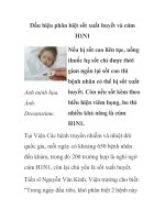 Dấu hiệu phân biệt sốt xuất huyết và cúm H1N1 pot