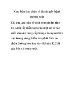 Kem bán dạo chứa vi khuẩn gây bệnh đường ruột pptx